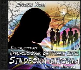 Хол Блэки – Sindroma unicuma 01. Предновогодье. Внутренние связи